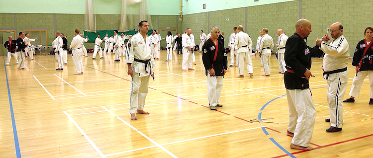 Jikishin Ko Budo (Weapons)  Seminar February 2014