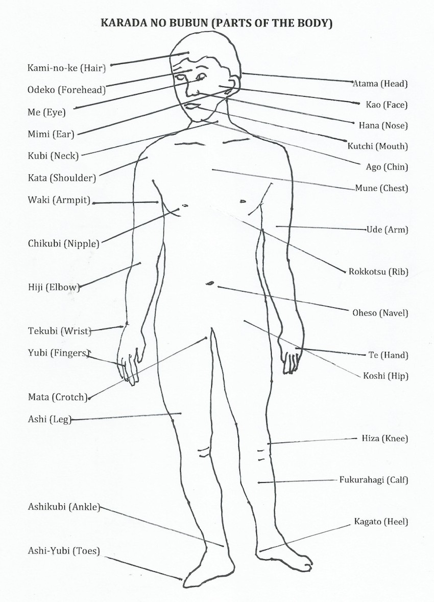 Japanese Martial Arts Terminology - Ju Jitsu - Parts of the Body